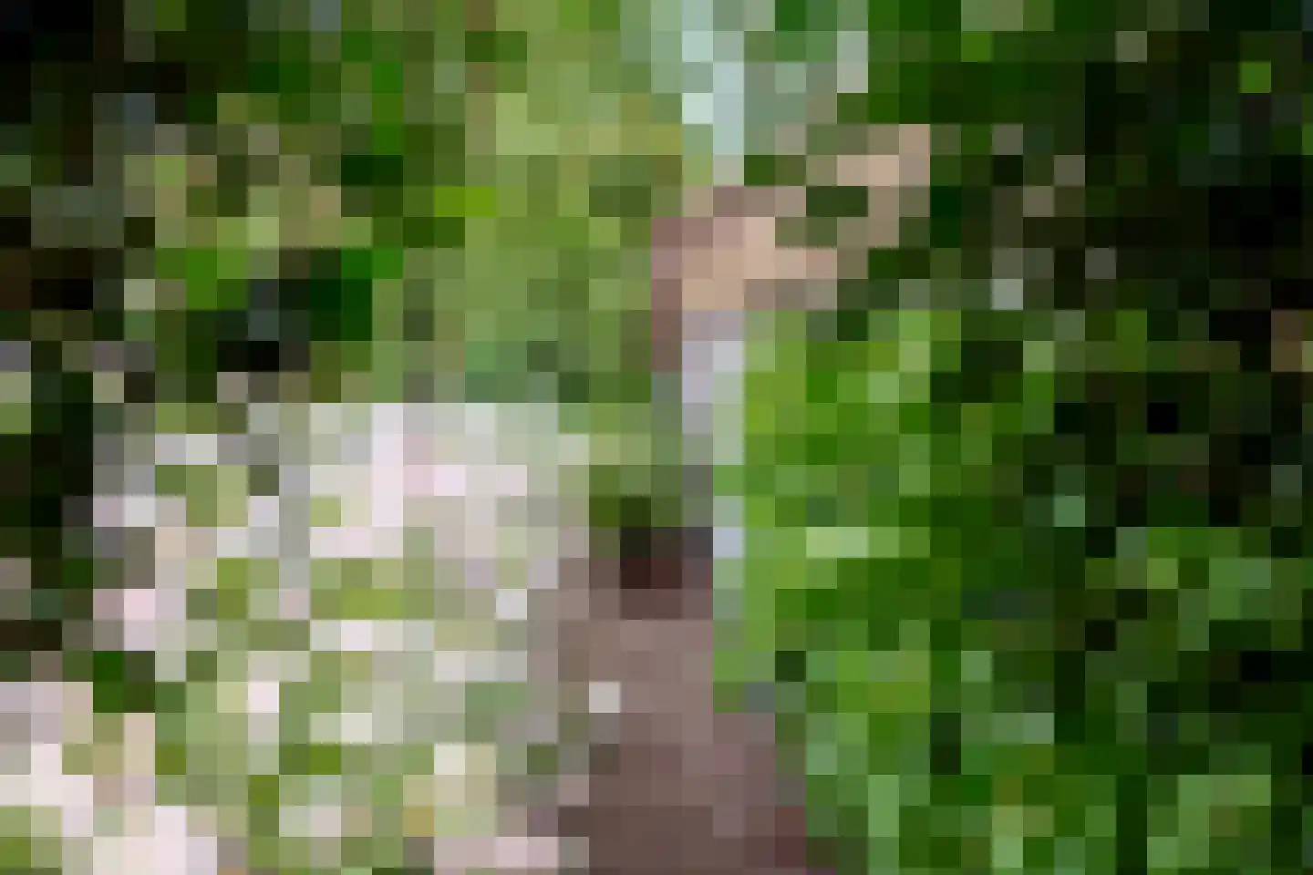 Kaathoven 3 Vinkel thumbnail 88