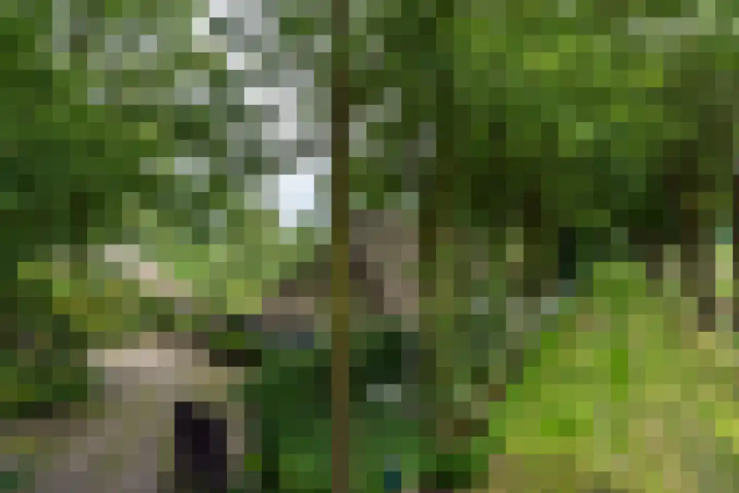 Kaathoven 3 Vinkel thumbnail 91