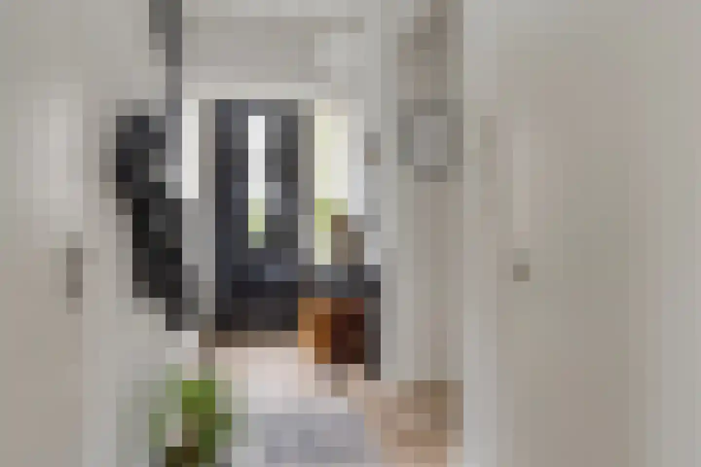 Kaatje Mollaan 9 Hekelingen thumbnail 12