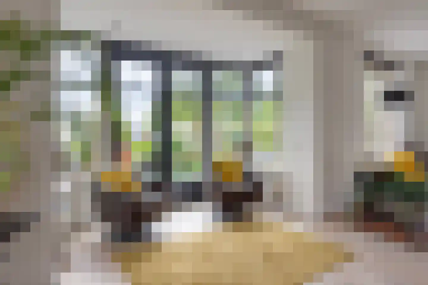 Kaatje Mollaan 9 Hekelingen thumbnail 17