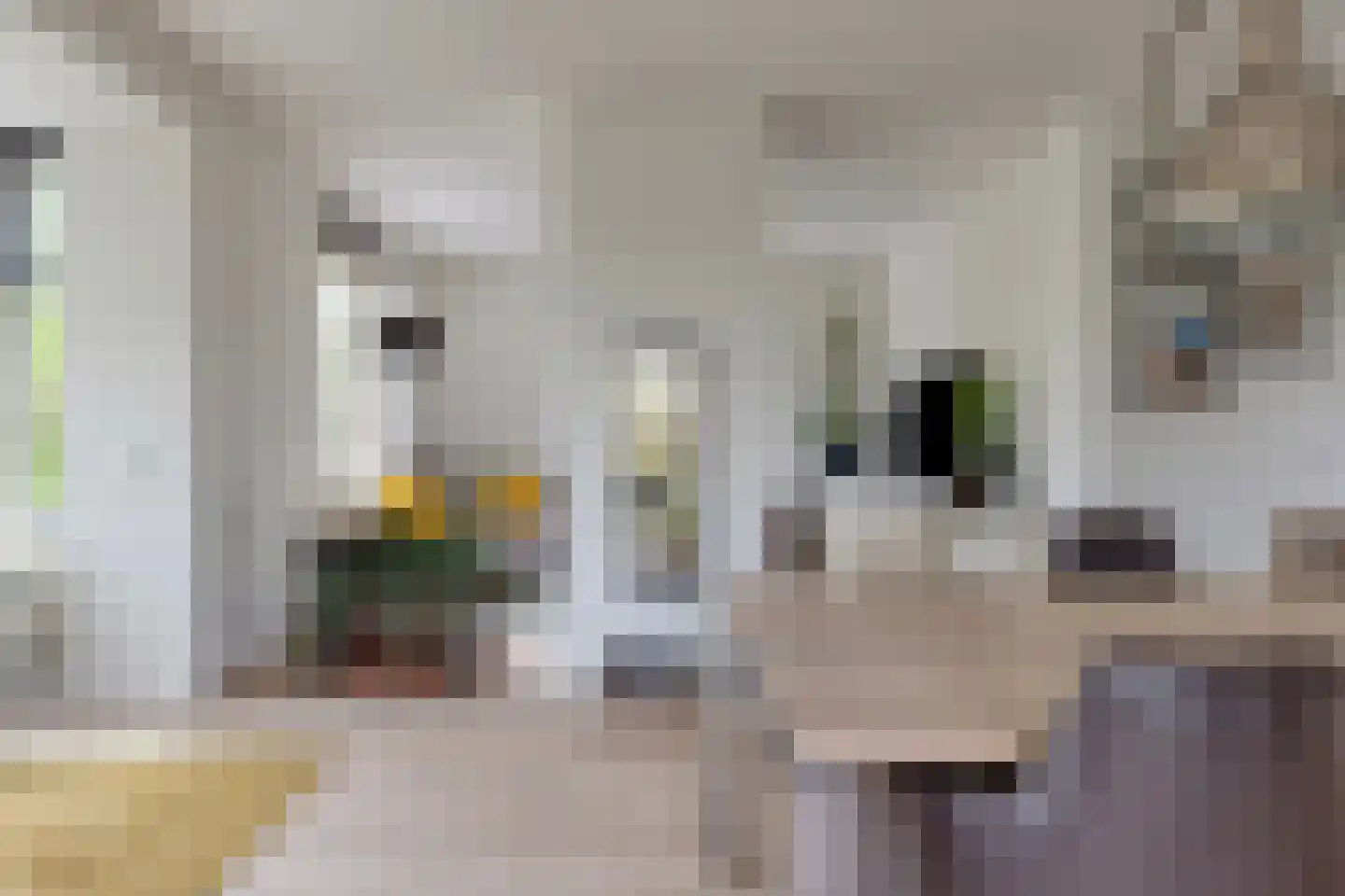 Kaatje Mollaan 9 Hekelingen thumbnail 20
