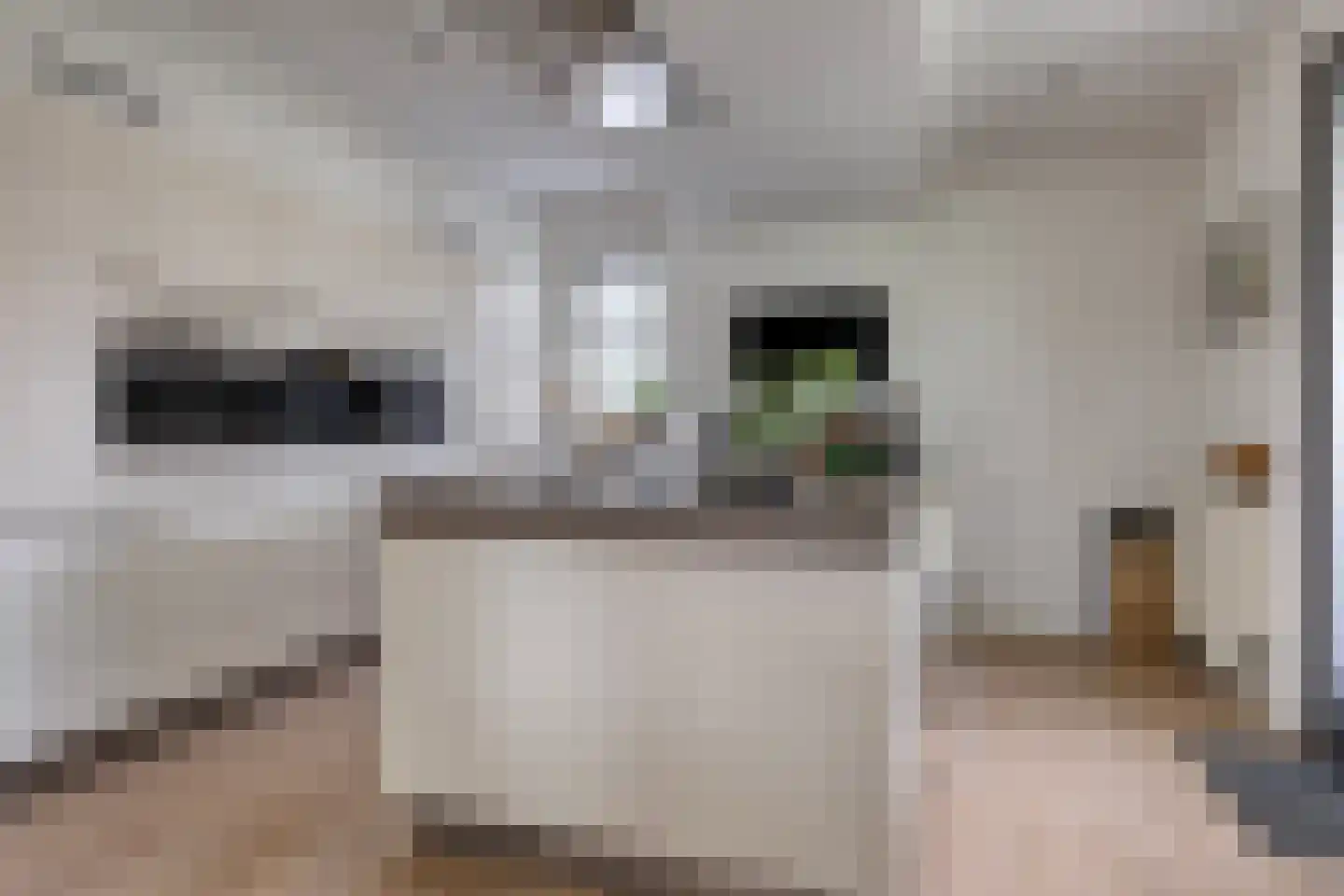 Kaatje Mollaan 9 Hekelingen thumbnail 26