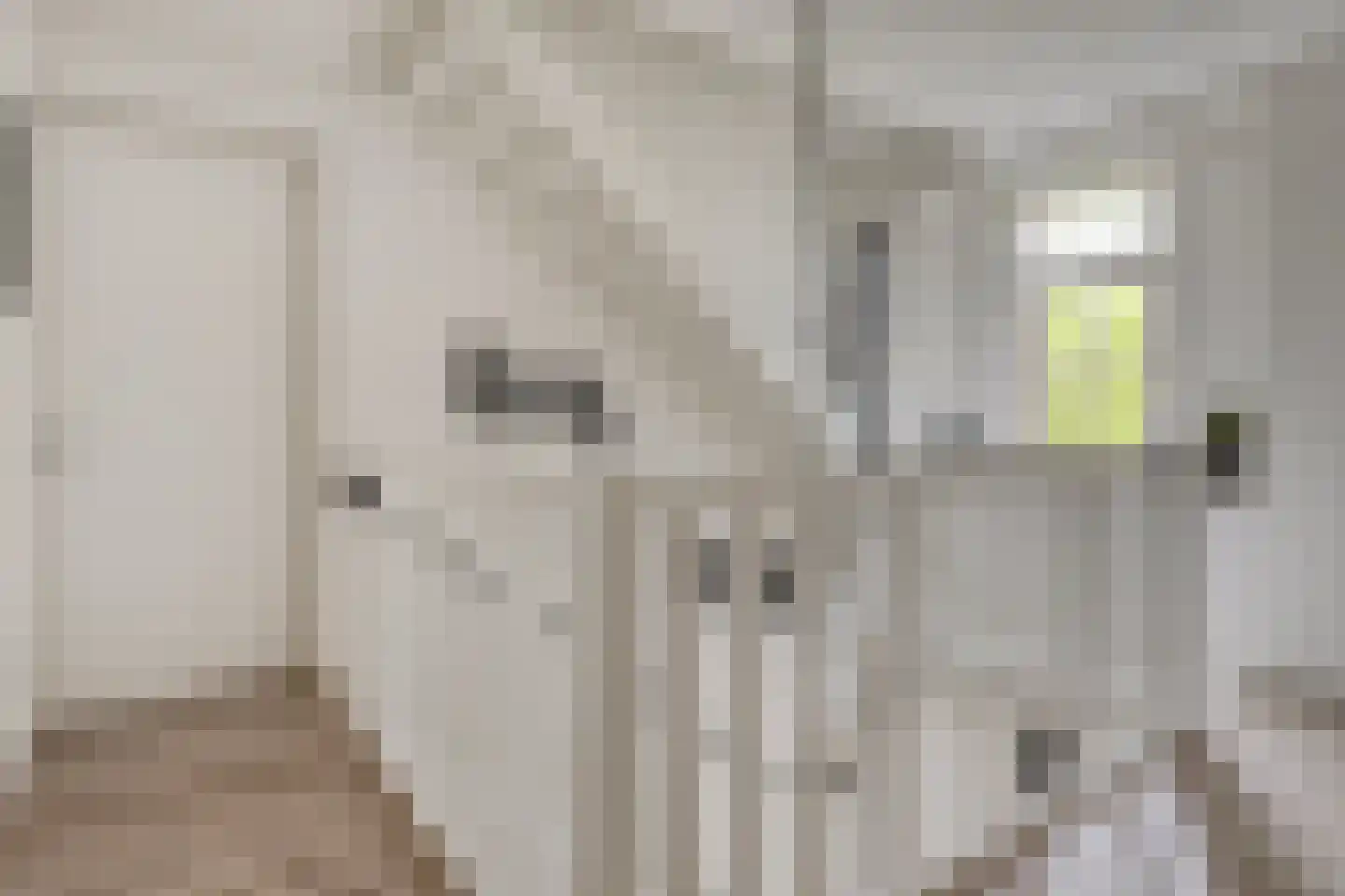 Kaatje Mollaan 9 Hekelingen thumbnail 40