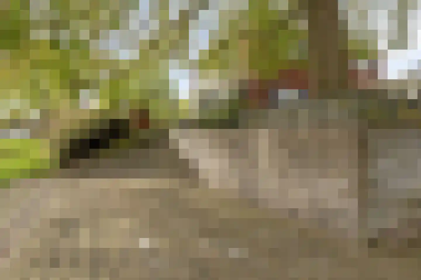 Kaatje Mollaan 9 Hekelingen thumbnail 79