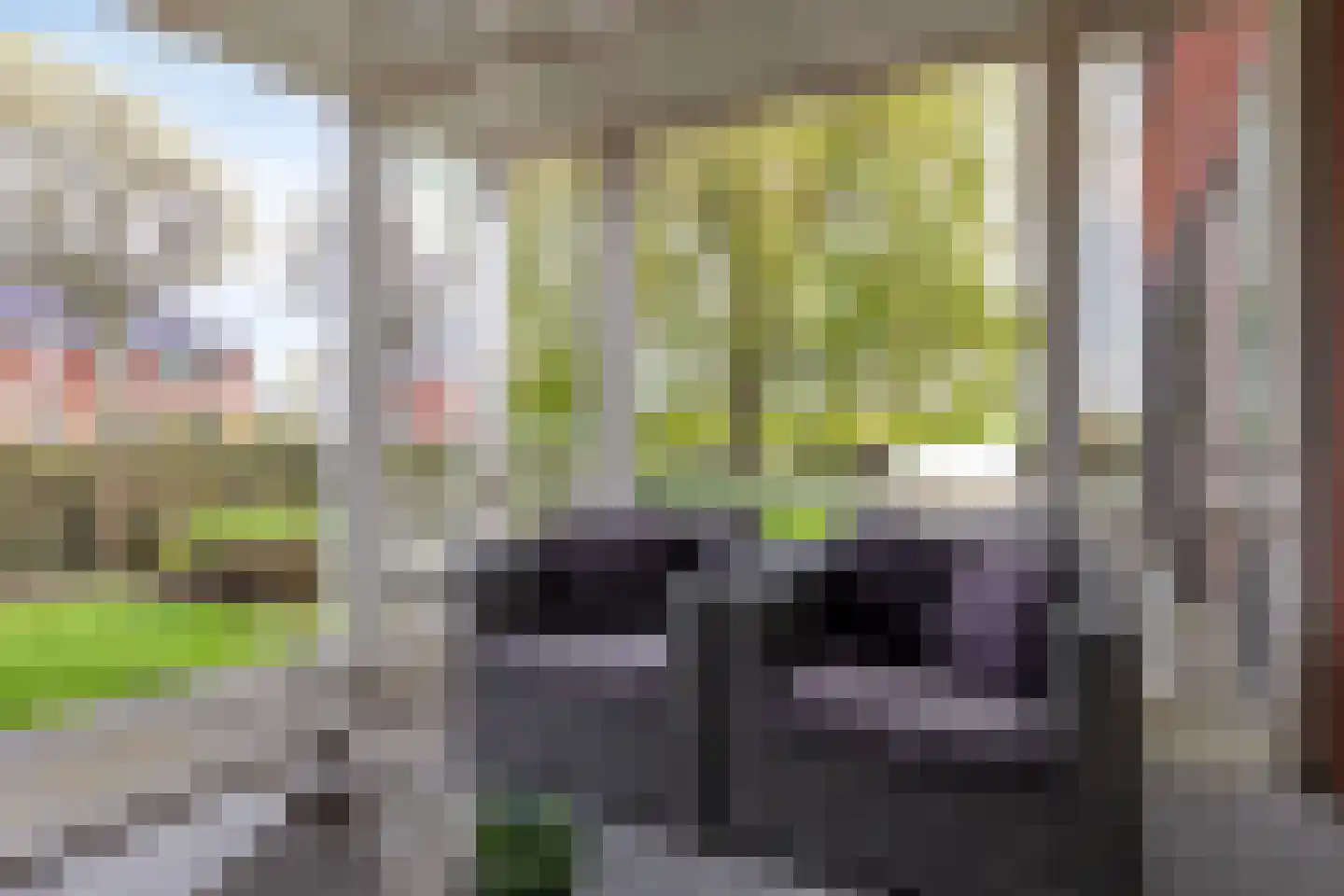 Kaatje Mollaan 9 Hekelingen thumbnail 82