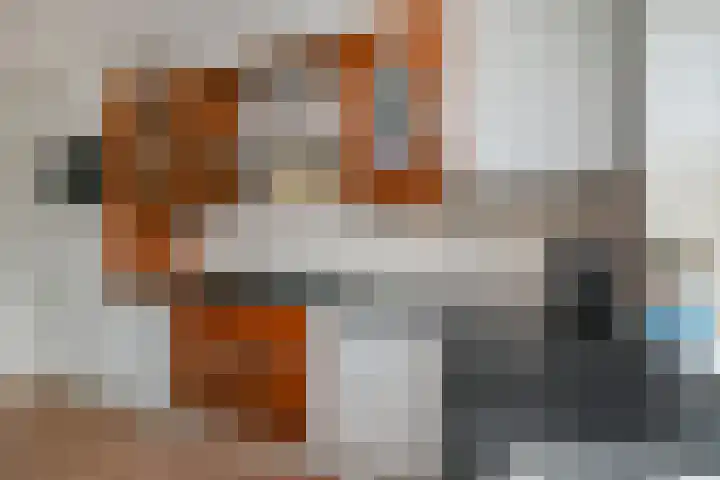 Kaatsbaan 11 Den Haag thumbnail 13