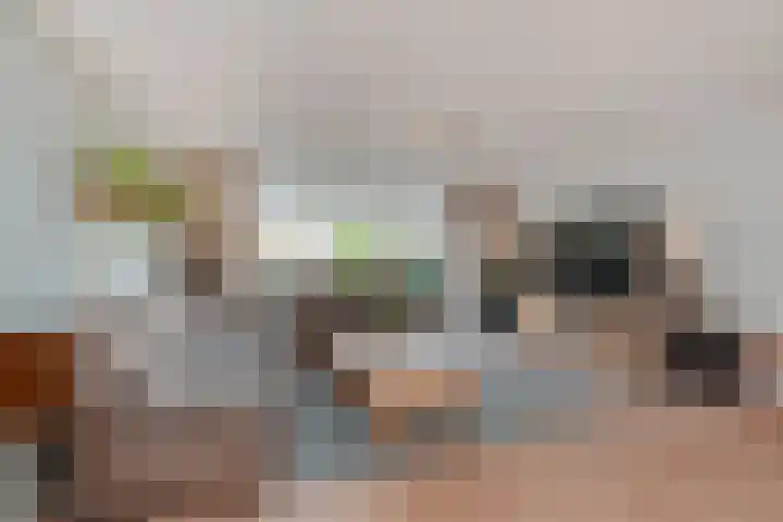 Kaatsbaan 11 Den Haag thumbnail 7