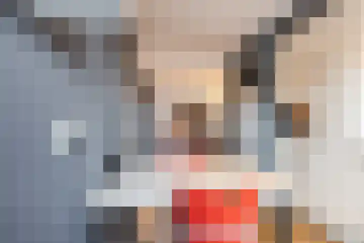 Kaatsbaan 16 Bergen op Zoom thumbnail 10