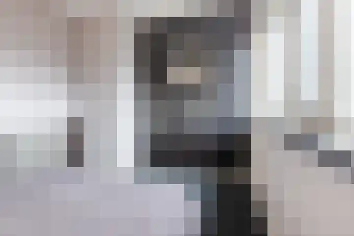 Kaatsbaan 16 Bergen op Zoom thumbnail 13
