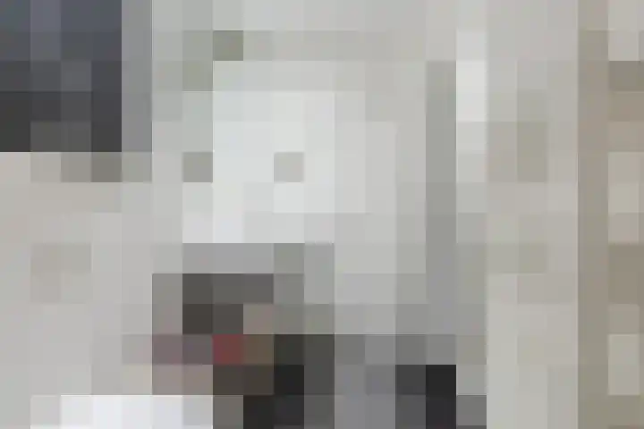Kaatsbaan 16 Bergen op Zoom thumbnail 14