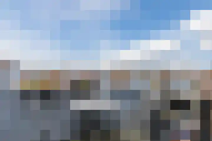 Kaatsbaan 16 Bergen op Zoom thumbnail 5