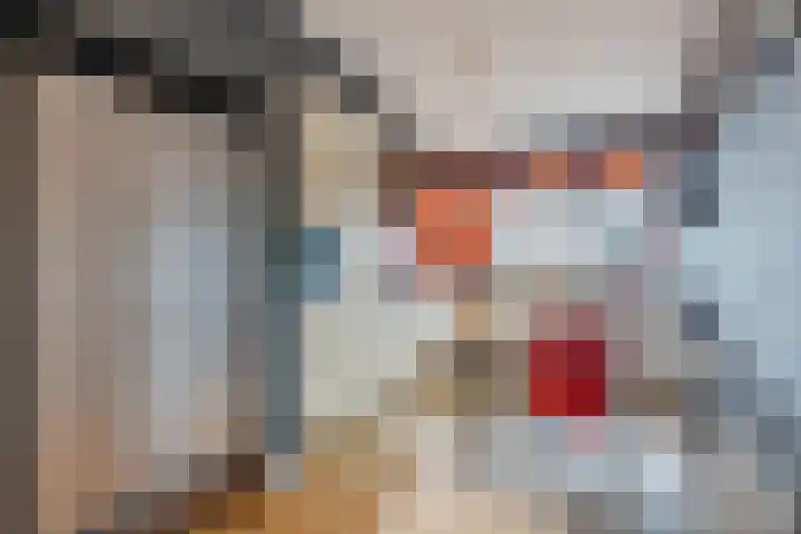 Kaatsbaan 16 Bergen op Zoom thumbnail 7