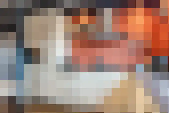 Kaatsbaan 16 Bergen op Zoom thumbnail 9