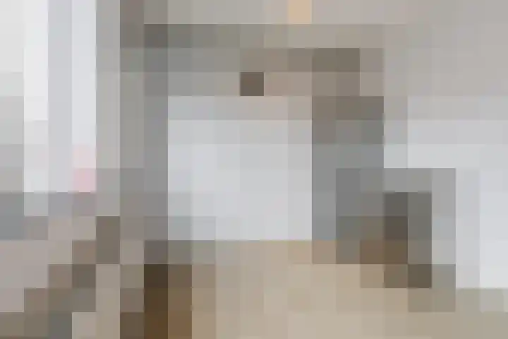 Kaatsbaan 22 Bergen op Zoom thumbnail 10