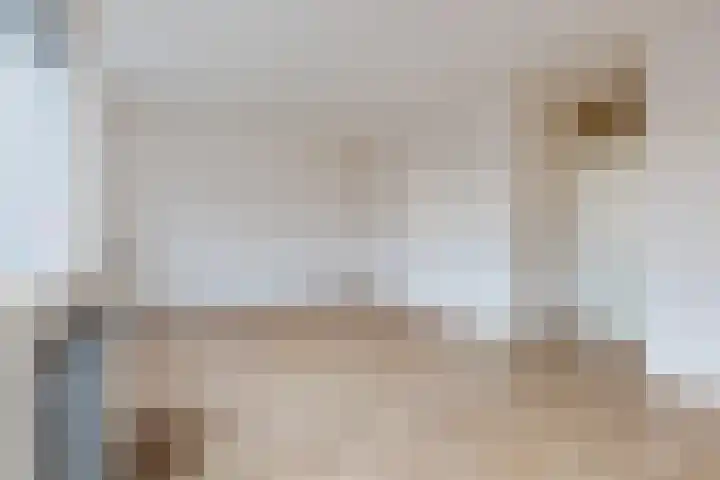Kaatsbaan 22 Bergen op Zoom thumbnail 6