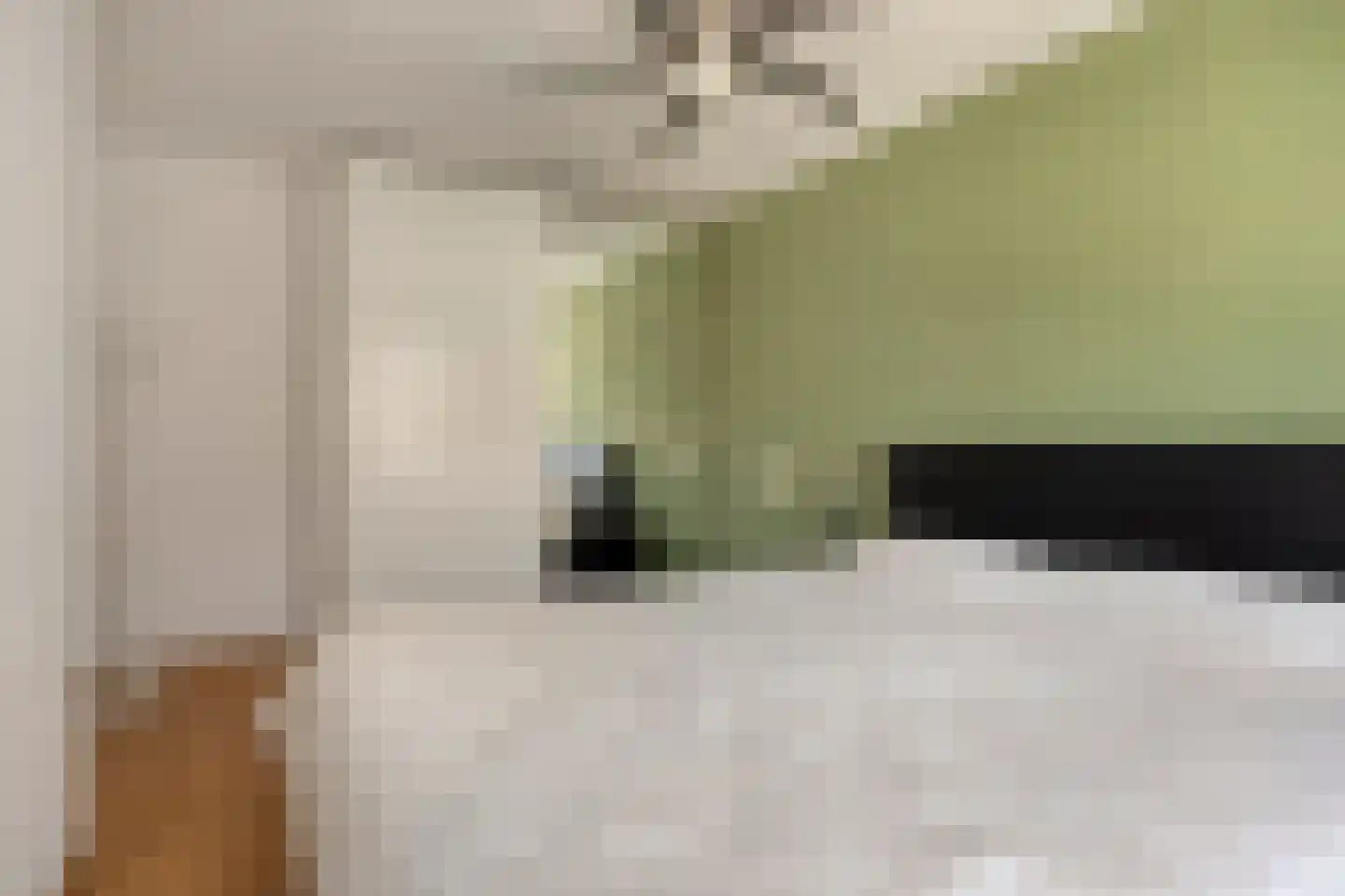 Kaatsbaan 32 Bergen op Zoom thumbnail 18