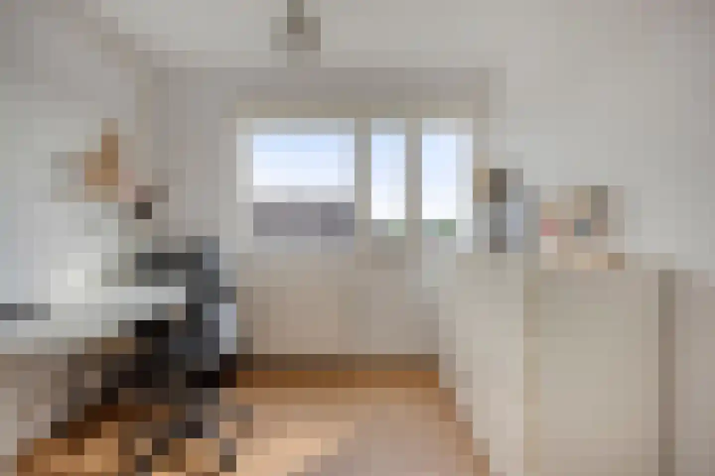 Kaatsbaan 32 Bergen op Zoom thumbnail 21