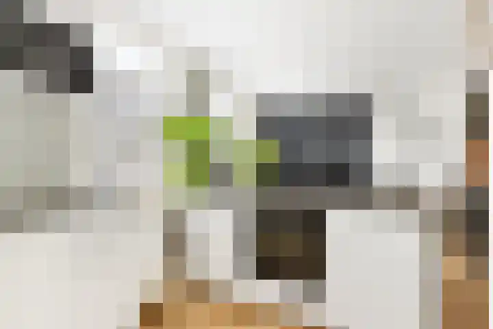 Kaatsbaan 33 a Maarssen thumbnail 11