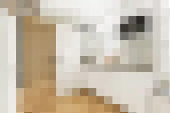 Kaatsbaan 33 a Maarssen thumbnail 12