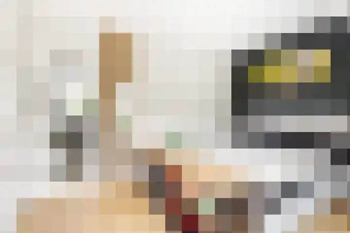 Kaatsbaan 33 a Maarssen thumbnail 15