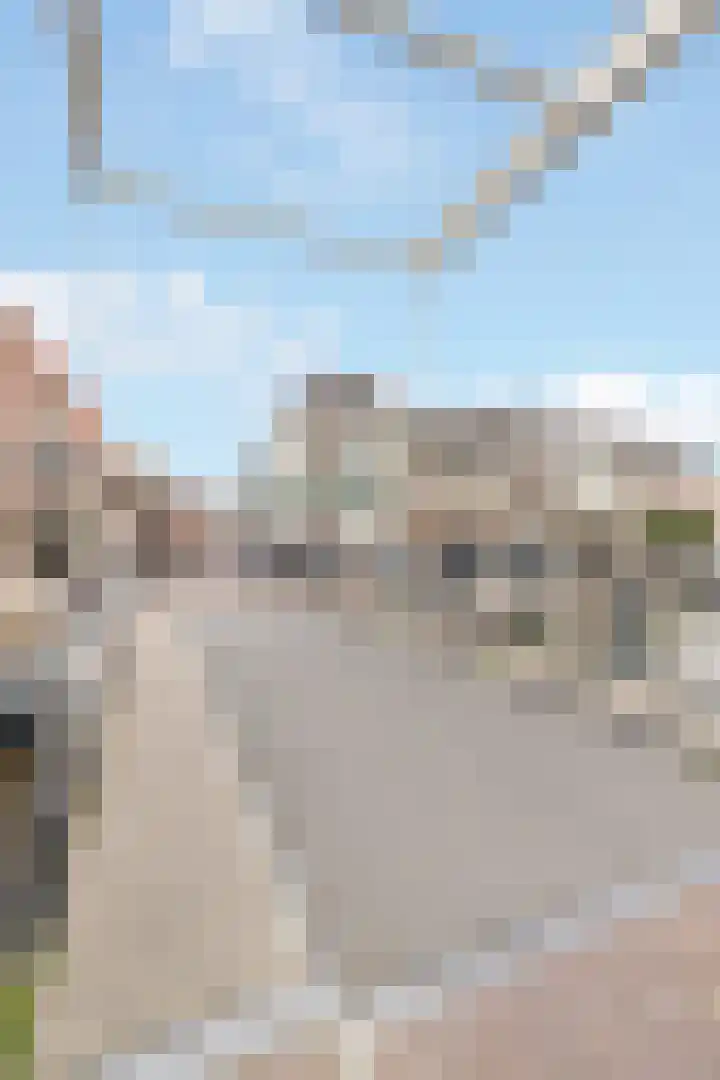 Kaatsbaan 33 a Maarssen thumbnail 27