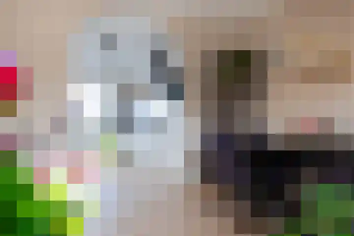 Kaatsbaan 48 Bergen op Zoom thumbnail 11