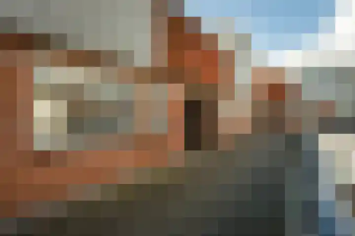 Kaatsbaan 48 Bergen op Zoom thumbnail 31