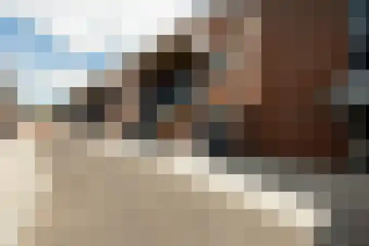 Kaatsbaan 48 Bergen op Zoom thumbnail 38