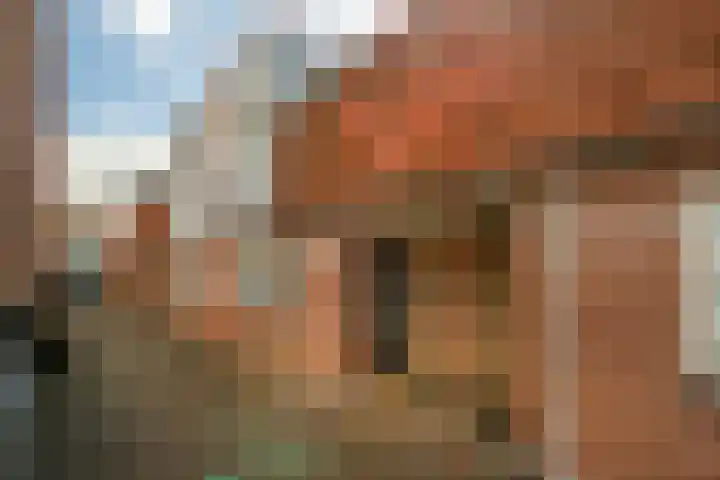 Kaatsbaan 48 Bergen op Zoom thumbnail 5