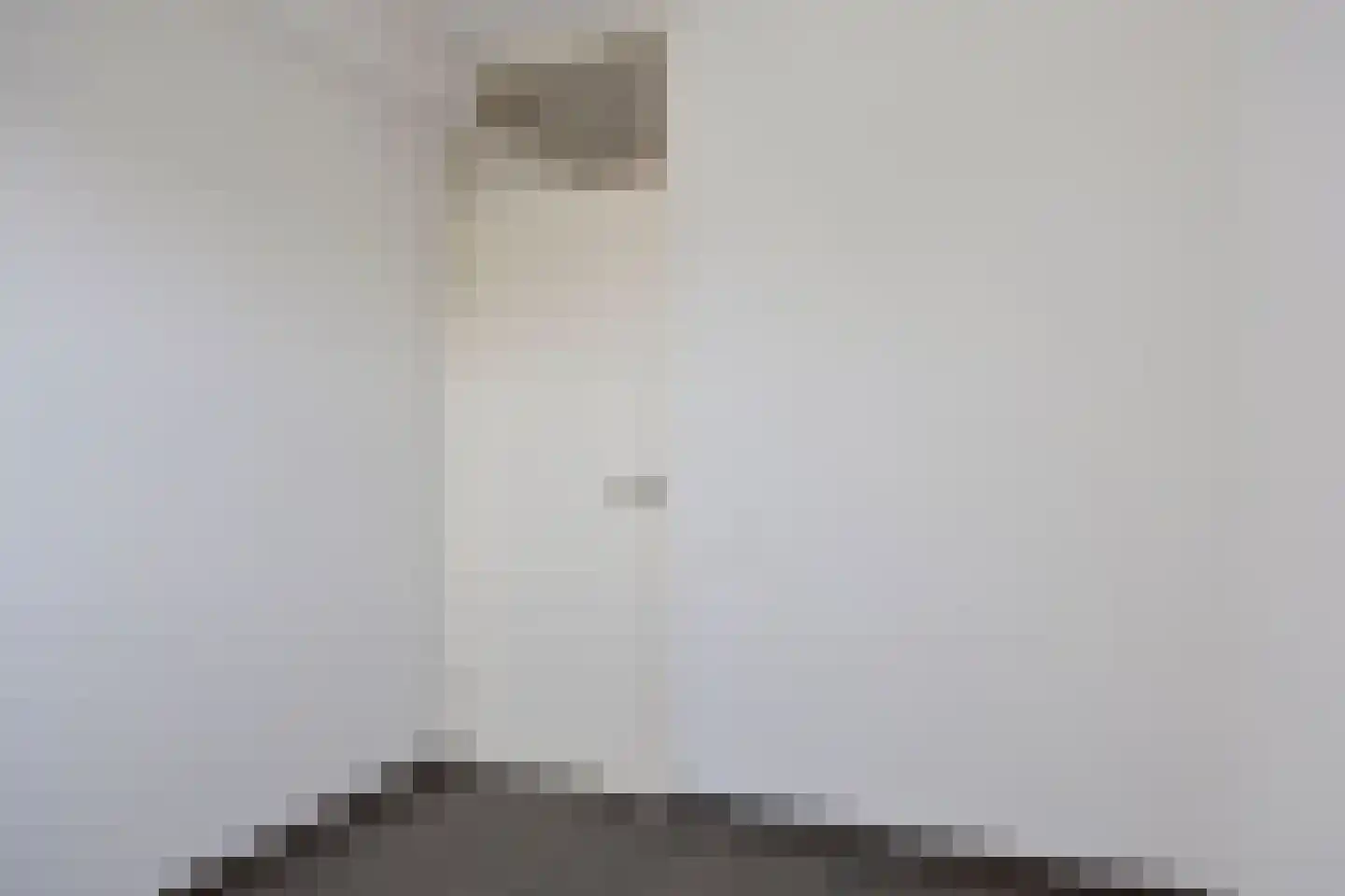 Kaatsbaan 6 Bergen op Zoom thumbnail 20