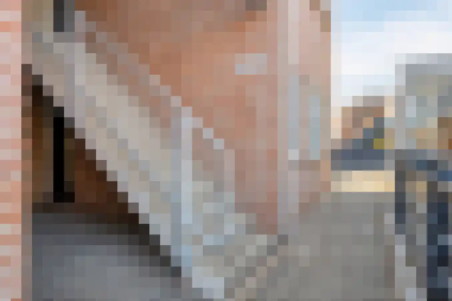 Kaatsbaan 66 Bergen op Zoom thumbnail 31