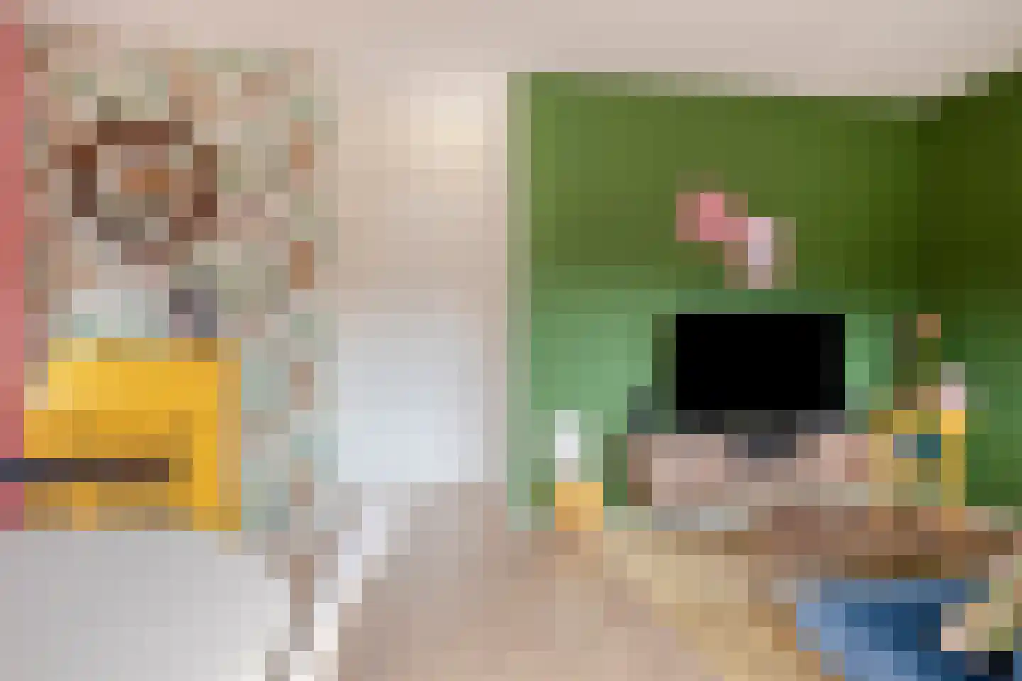 Kaatsbaan 66 Bergen op Zoom thumbnail 8