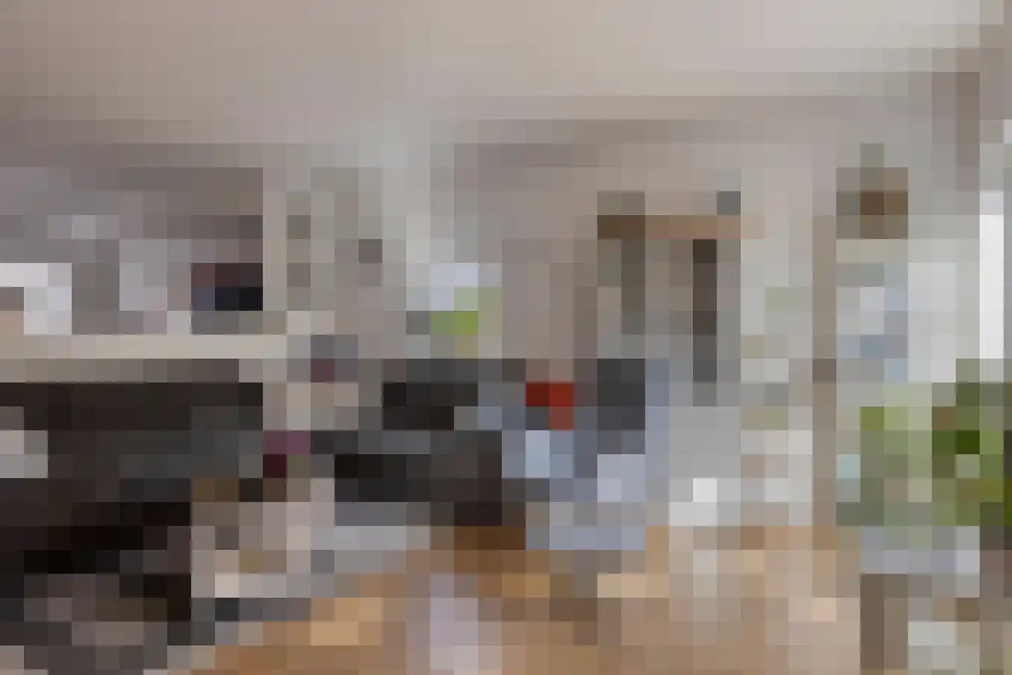 Kaatsbaan 94 Bergen op Zoom thumbnail 9