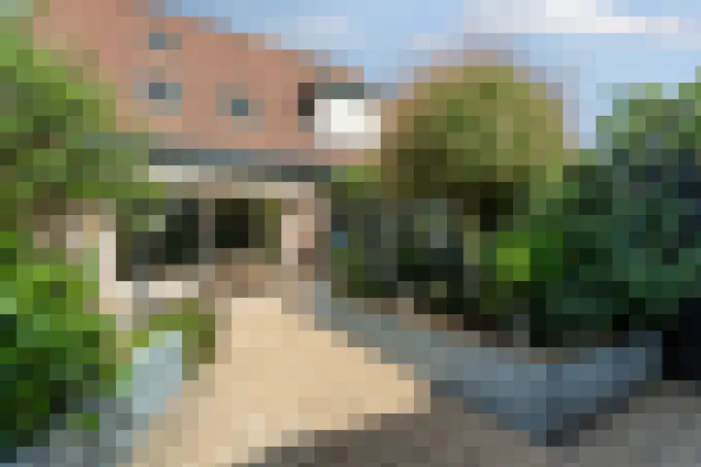Kaatsheuvelstraat 3 Almere thumbnail 36