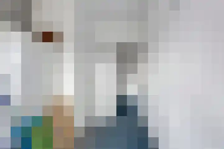 Kaatsland 102 Sneek thumbnail 13