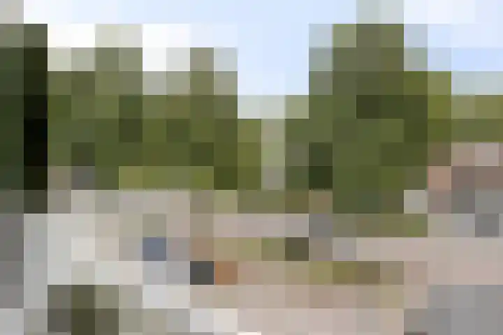 Kaatsland 102 Sneek thumbnail 16