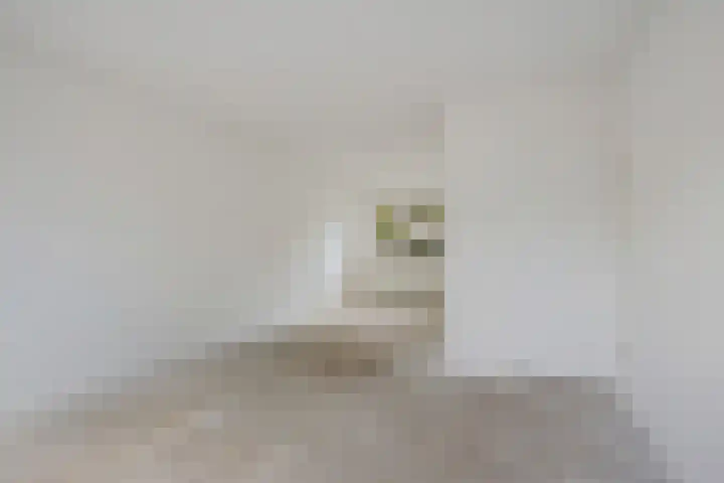 Kaatsland 28 Sneek thumbnail 8