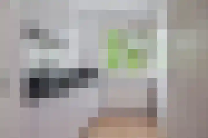Kaatsland 34 Sneek thumbnail 10