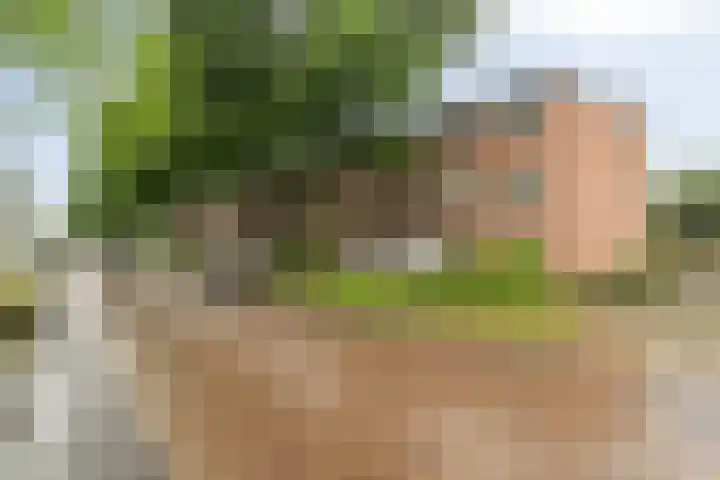 Kaatsland 34 Sneek thumbnail 23