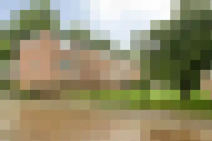 Kaatsland 34 Sneek thumbnail 24
