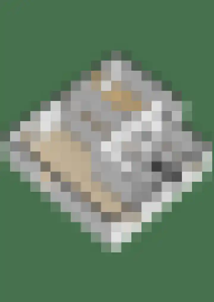 Kaatsland 34 Sneek thumbnail 26