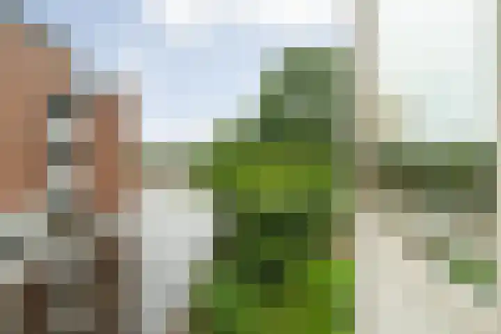 Kaatsland 34 Sneek thumbnail 8