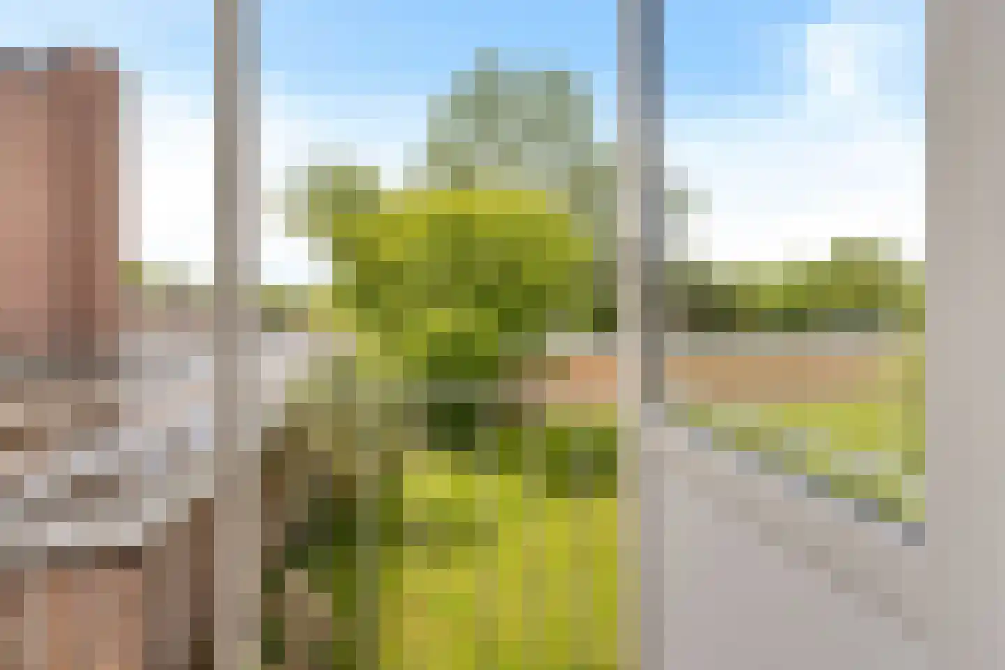 Kaatsland 36 Sneek thumbnail 22