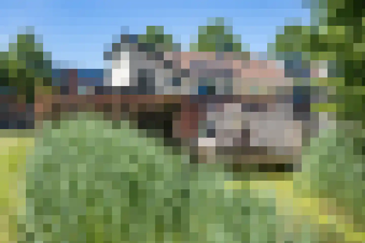 Kaatsland 7 015 Sneek thumbnail 35