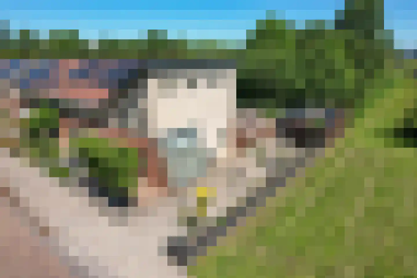 Kaatsland 7 015 Sneek thumbnail 43