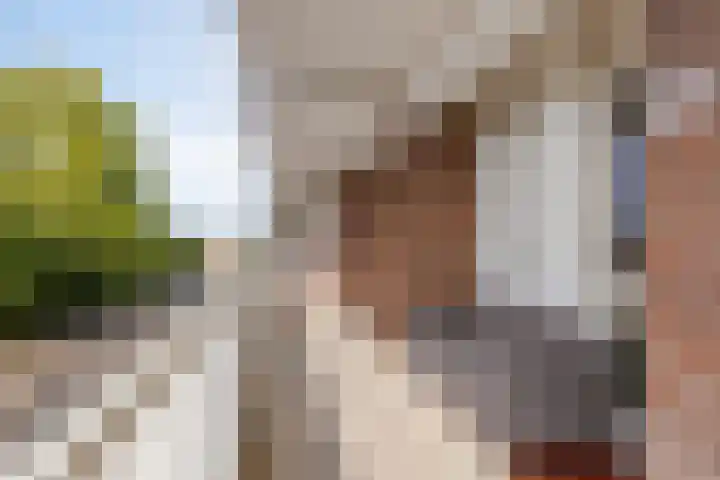 Kaatsland 72 Sneek thumbnail 22