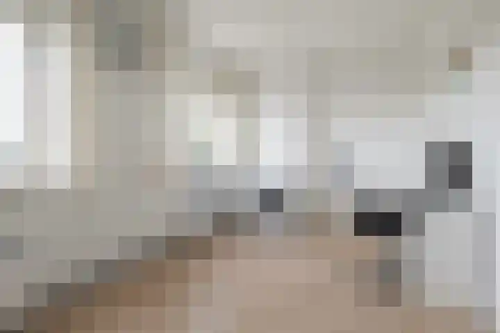 Kaatsland 92 Sneek thumbnail 15
