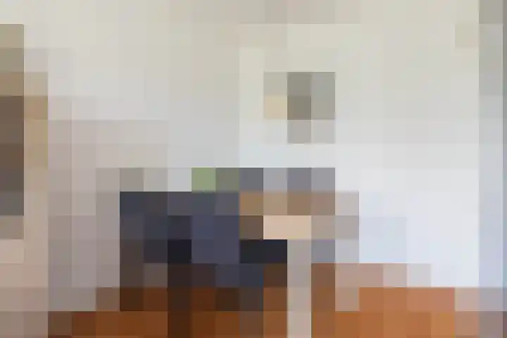 Kaatsland 92 Sneek thumbnail 8
