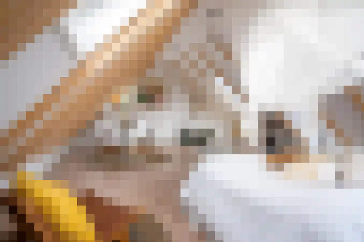 Kaatsplein 3 Witmarsum thumbnail 29