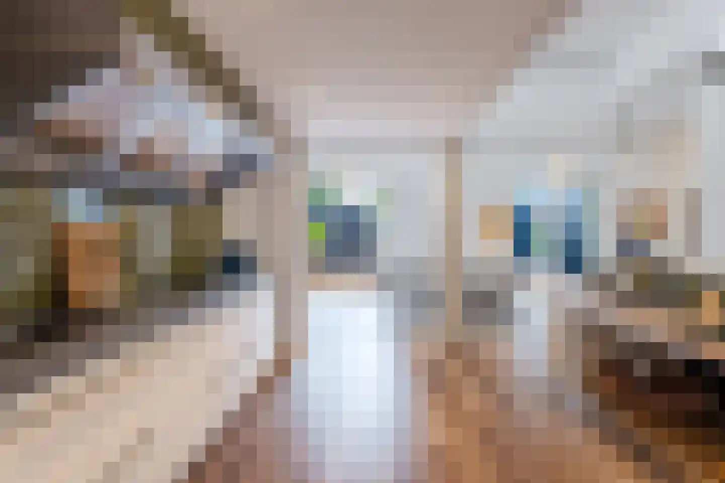Kaatsplein 7 Witmarsum thumbnail 13